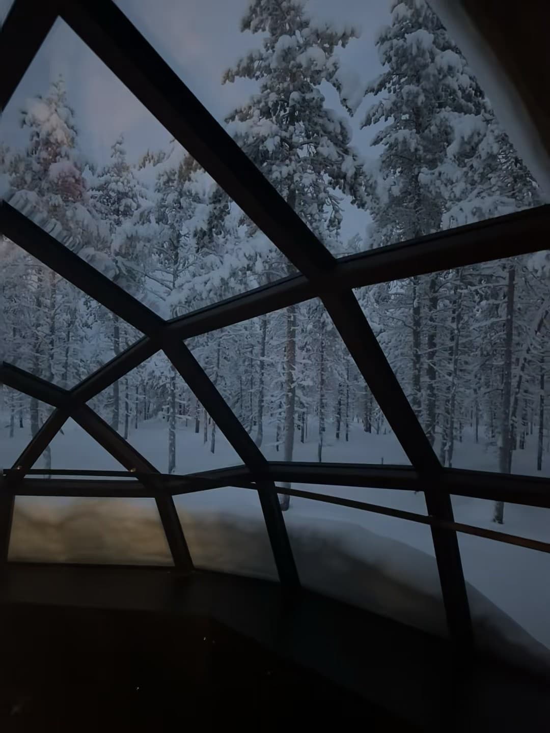 雪天在玻璃穹顶里喝热可可，像住进松林的童话屋封面图