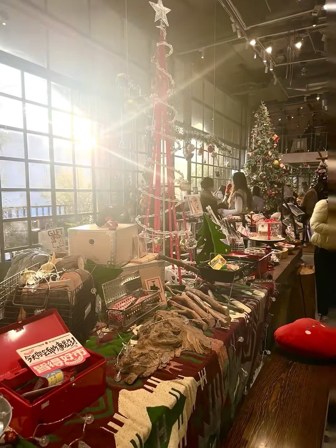 今天在街角老书店的圣诞市集蹲到一只会发光的树｜阳光太野了直接糊了镜头封面图