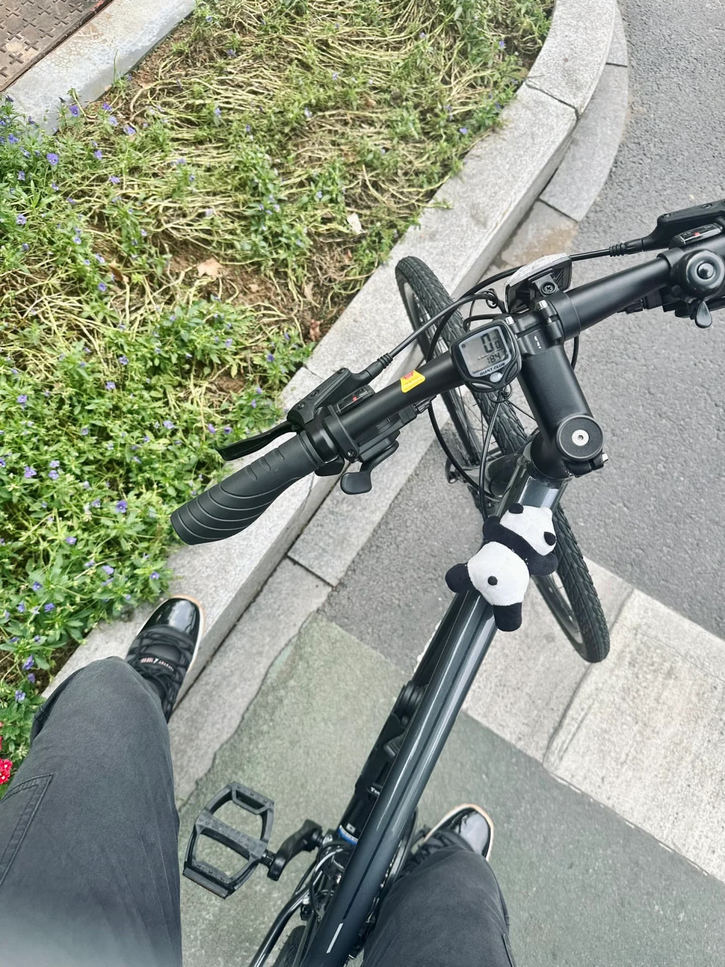 通勤路上的熊猫小挂件，今天在街角花丛边停了下封面图