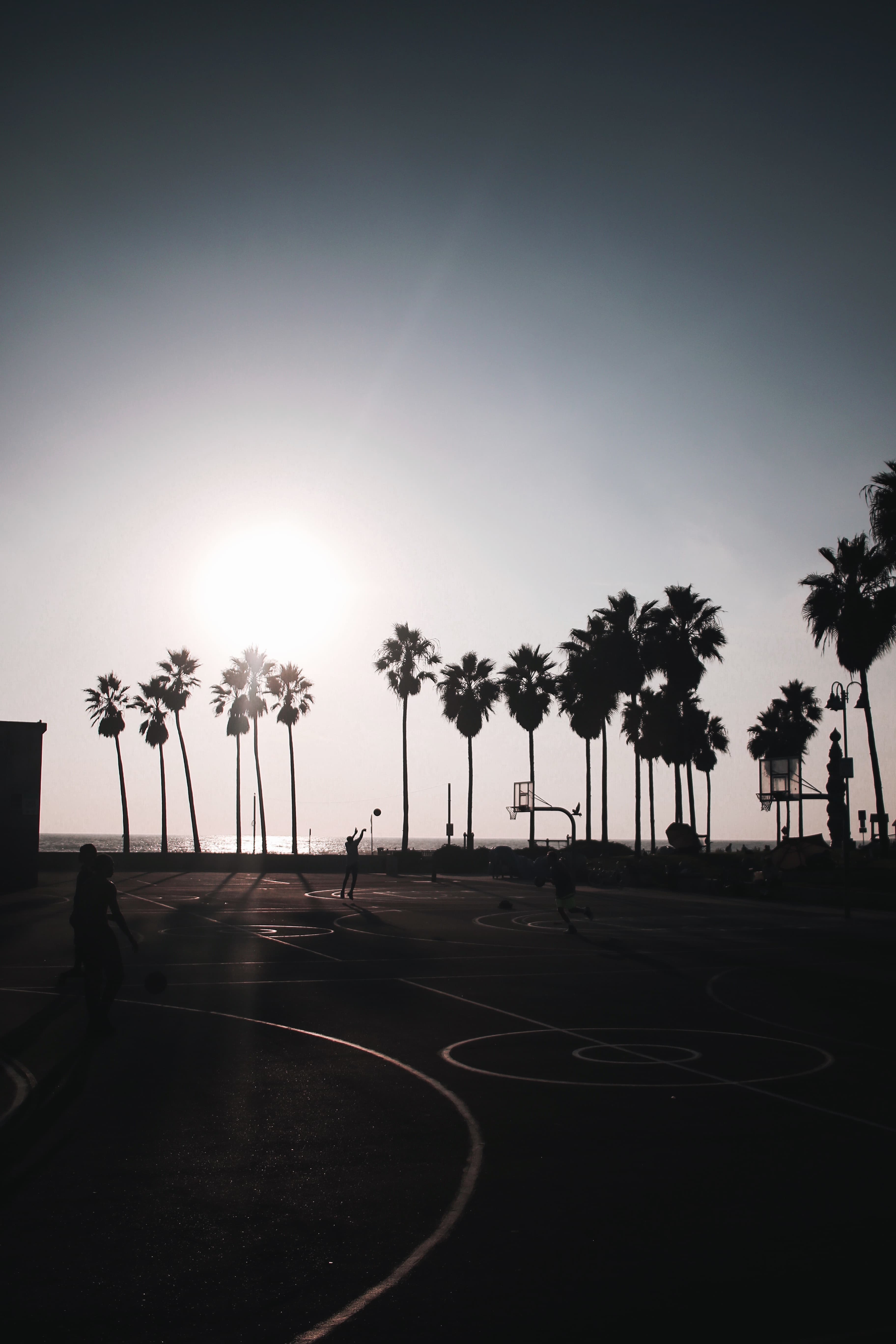 日落时分的街头篮球局， palm trees 把影子拉得像剪纸封面图