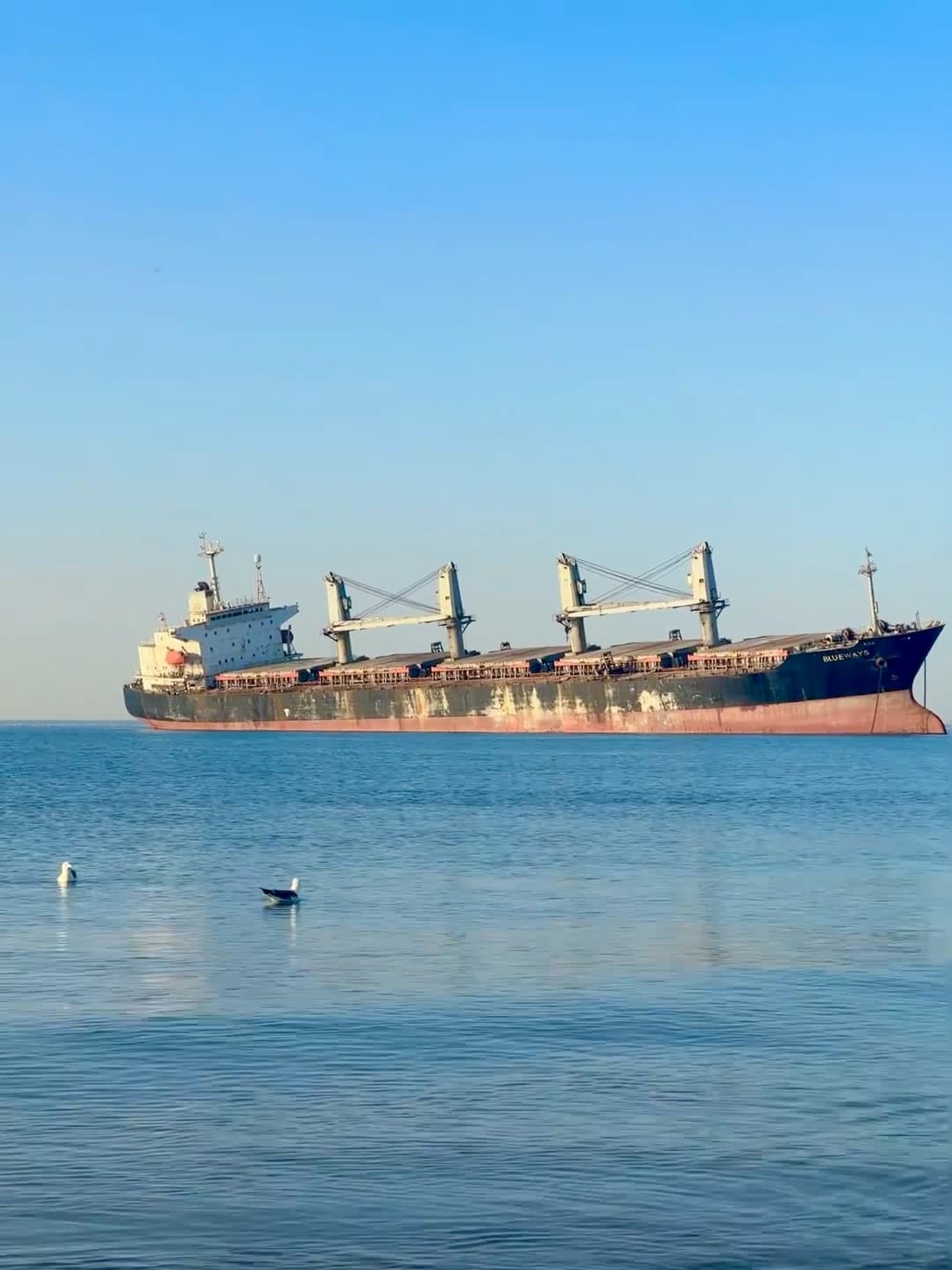 海边偶遇巨型货轮,蓝得像画里掉下来的天空封面图