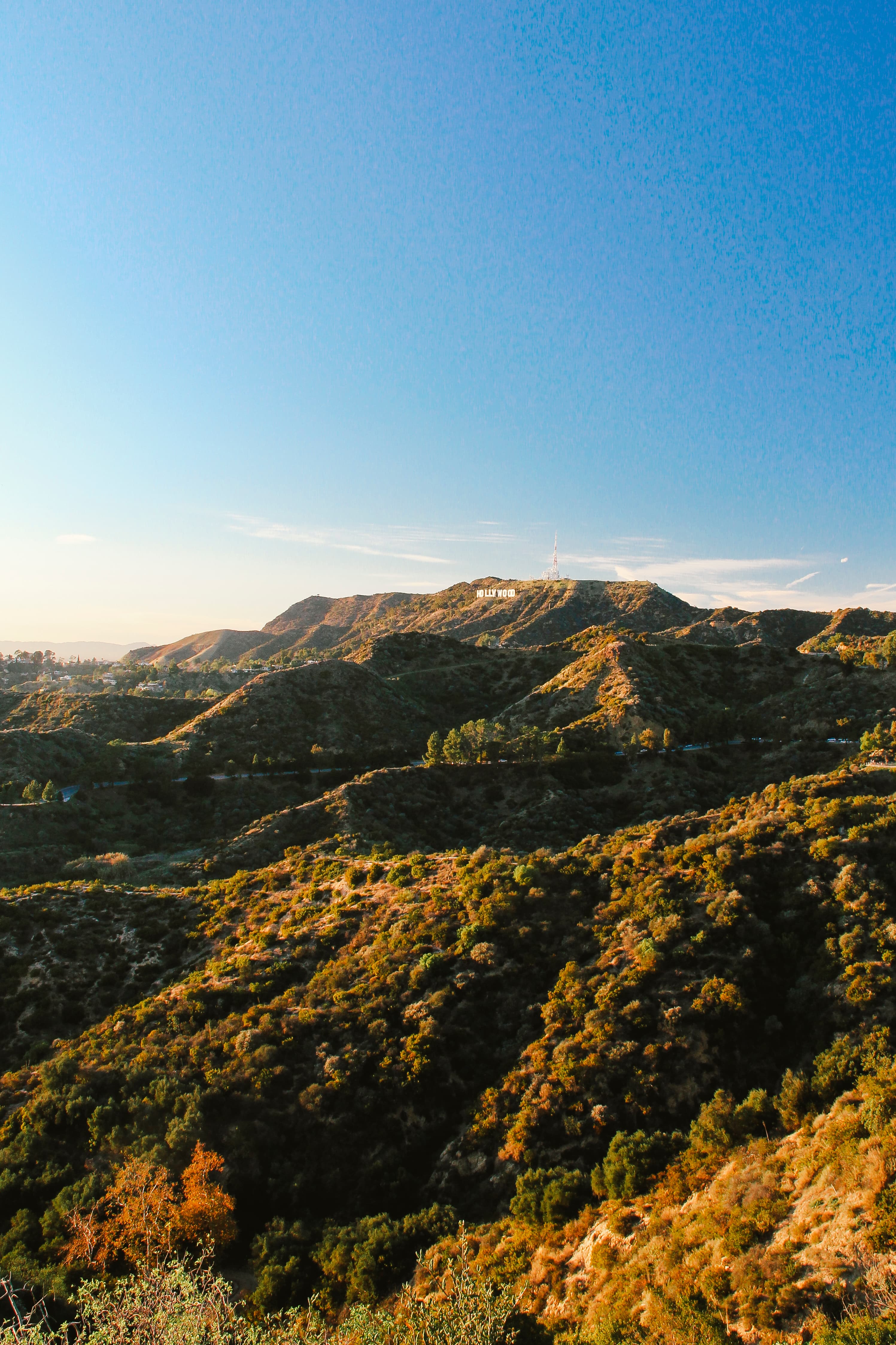 黄昏爬山顺路拍了下Hollywood Sign，没带相机纯靠手机抓拍，光是把山坡染成金棕色就值了封面图