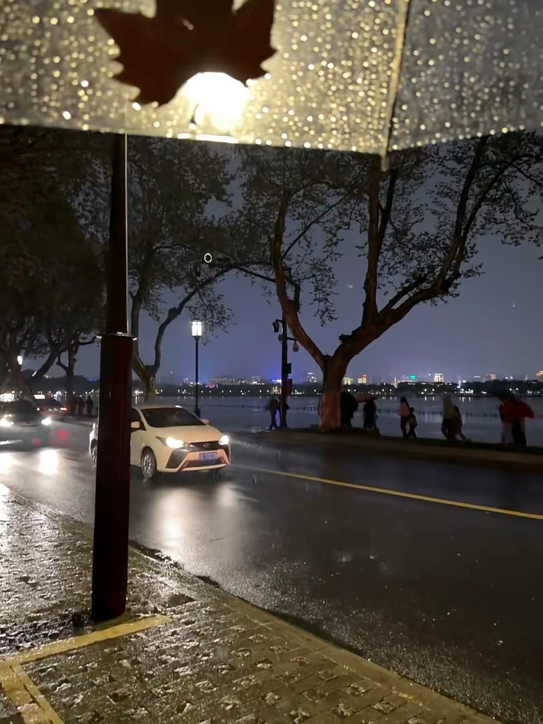 雨夜路灯下，车灯扫过湿漉漉的湖边路｜杭州？不，是西湖边的夜封面图