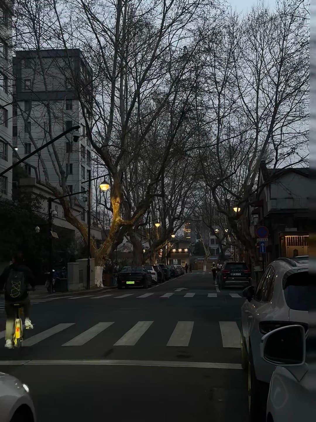 傍晚骑车路过老梧桐道，路灯一亮像进了电影帧封面图
