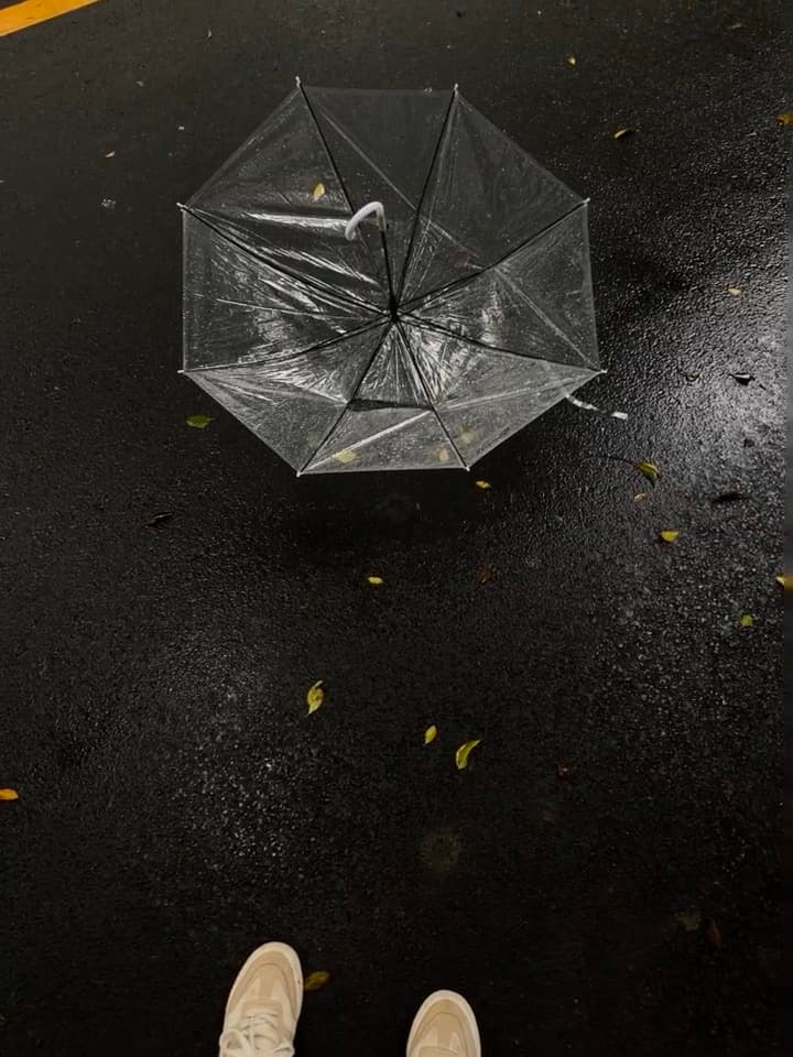 雨天伞掉地上，像被世界临时借走的透明梦封面图