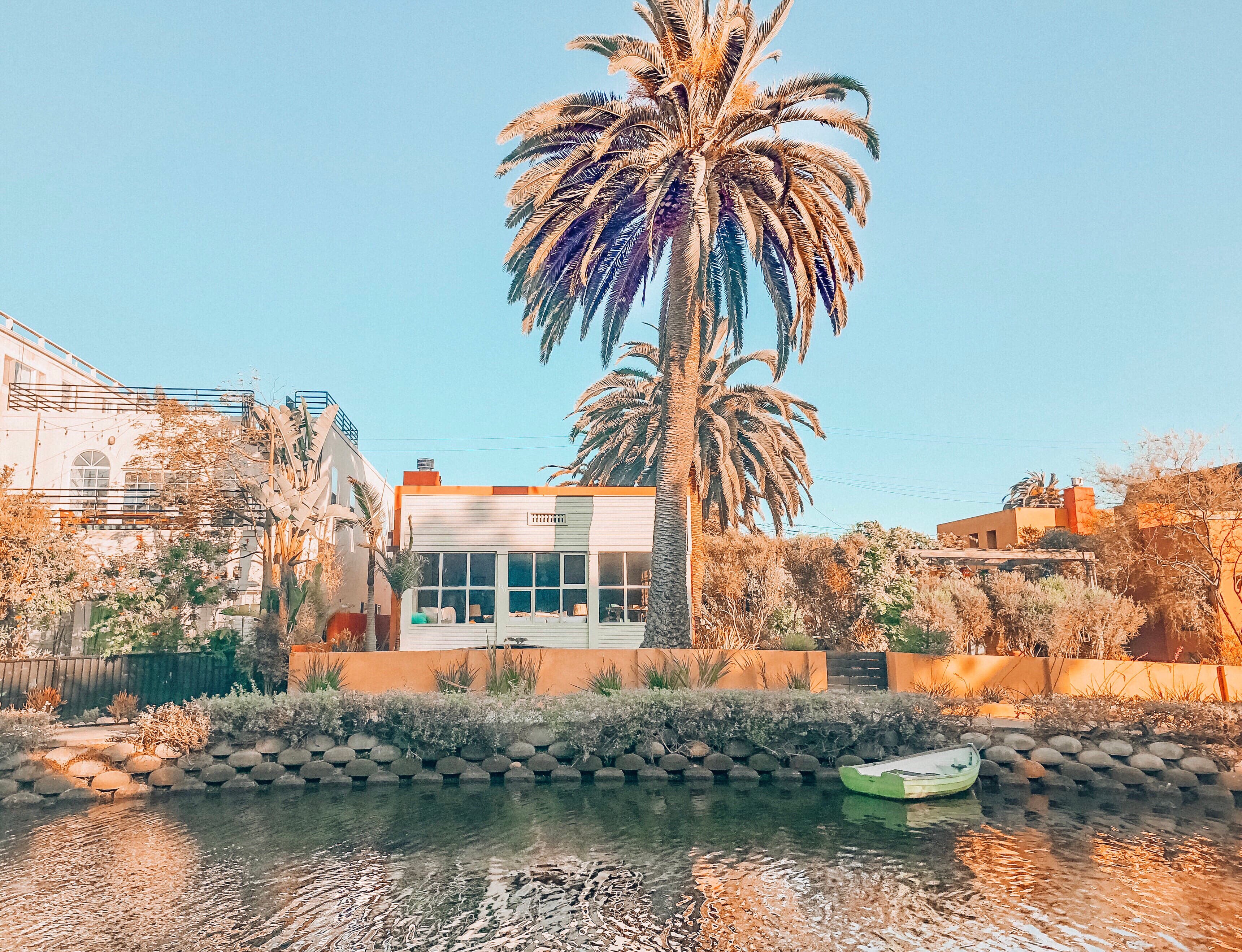 运河边的棕榈树，像被阳光泡软了的旧梦 🌴封面图