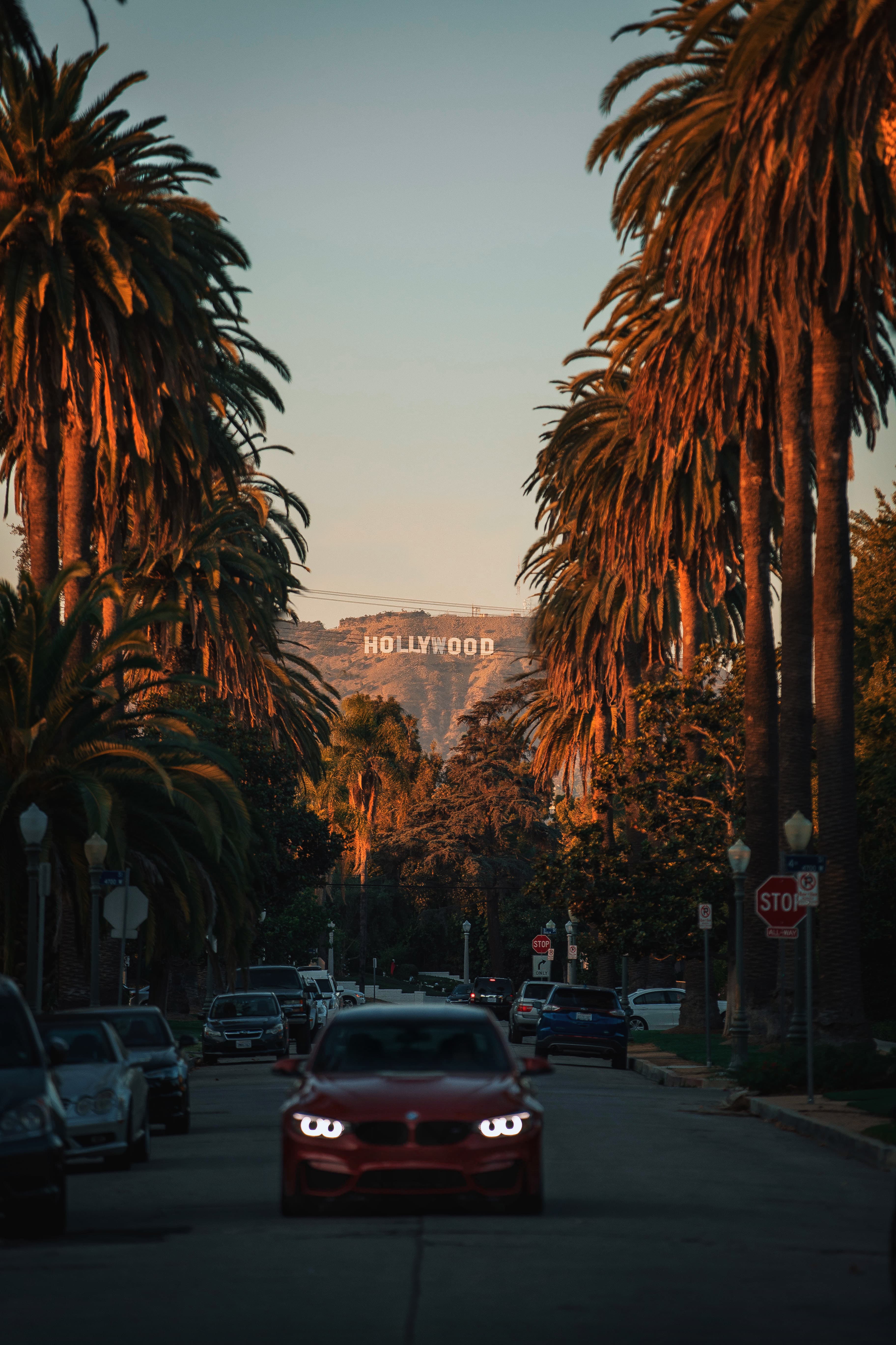 日落时分,Hollywood山头的光刚好打在车灯上 🌅封面图