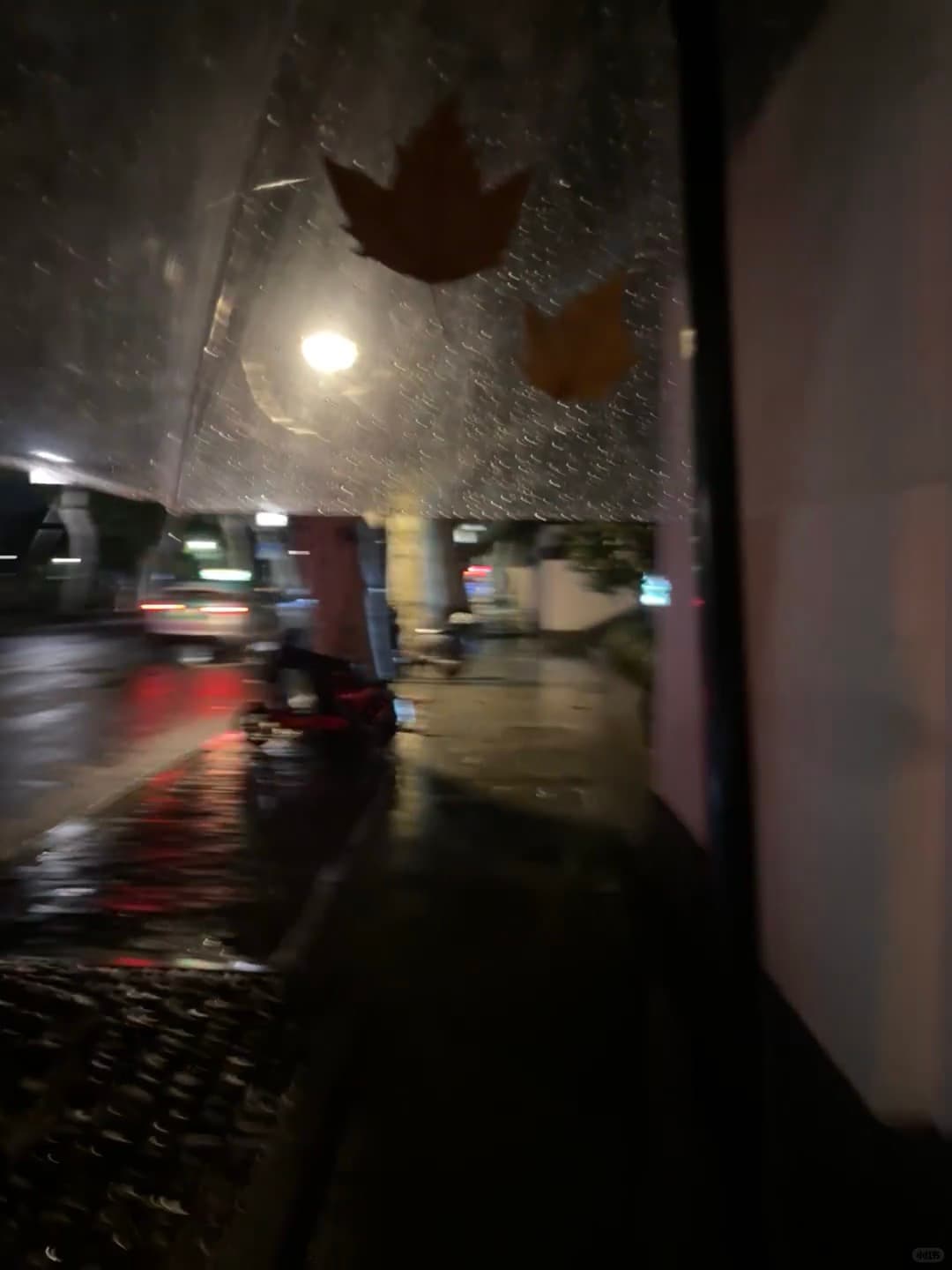 雨夜窗景｜路灯把落叶照成琥珀色封面图