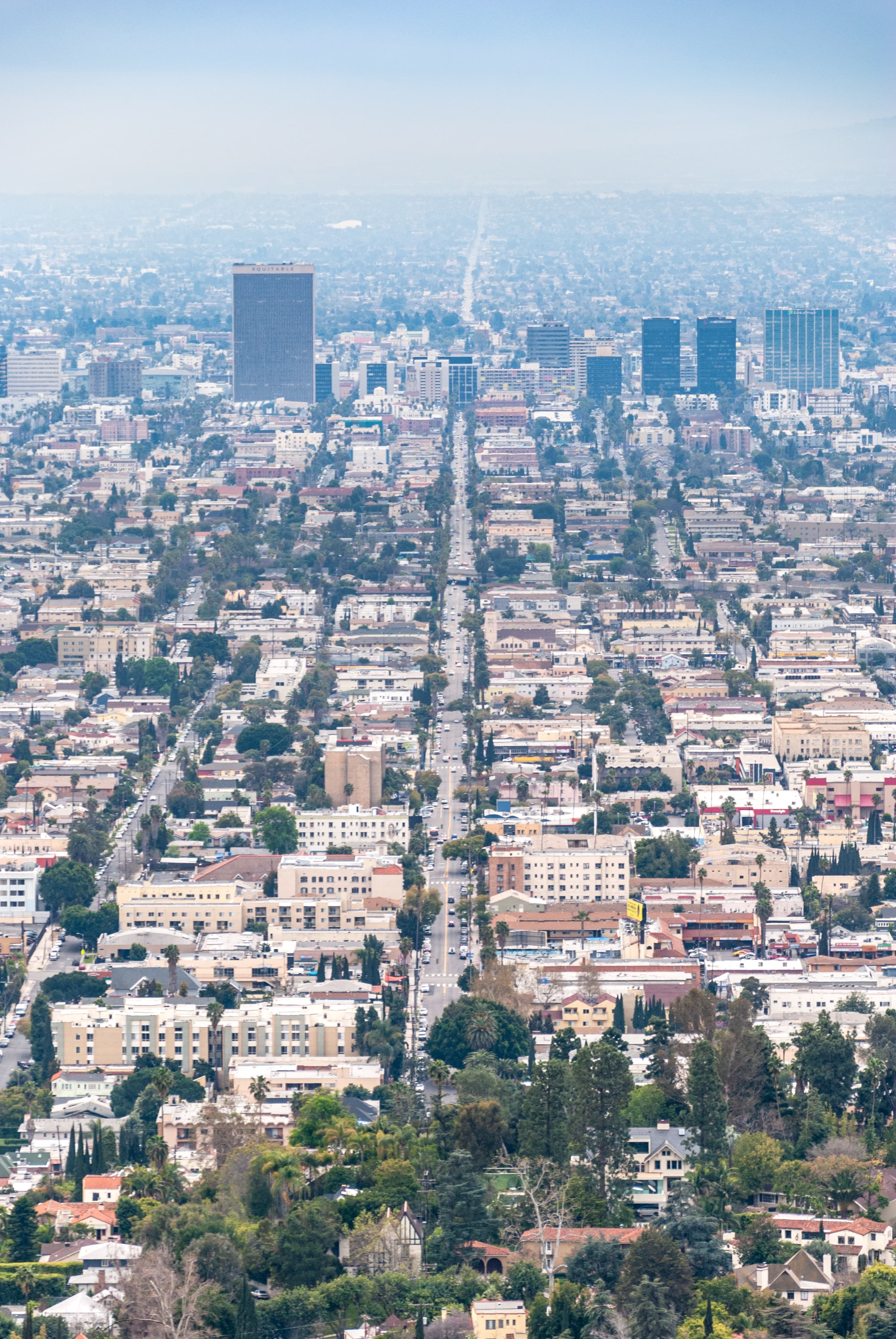 今天在Wilshire Blvd上，被这排梧桐树和远处的Equitable Tower戳中了——老派洛杉矶的呼吸感封面图