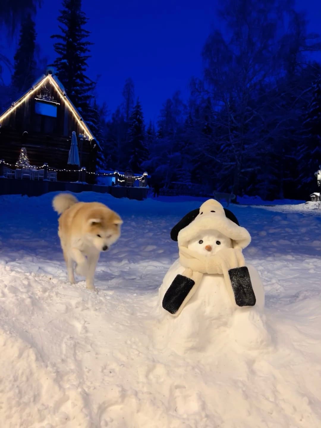 雪夜遛狗遇雪人，它歪头看我像在说：你确定不是来偷我帽子的？封面图