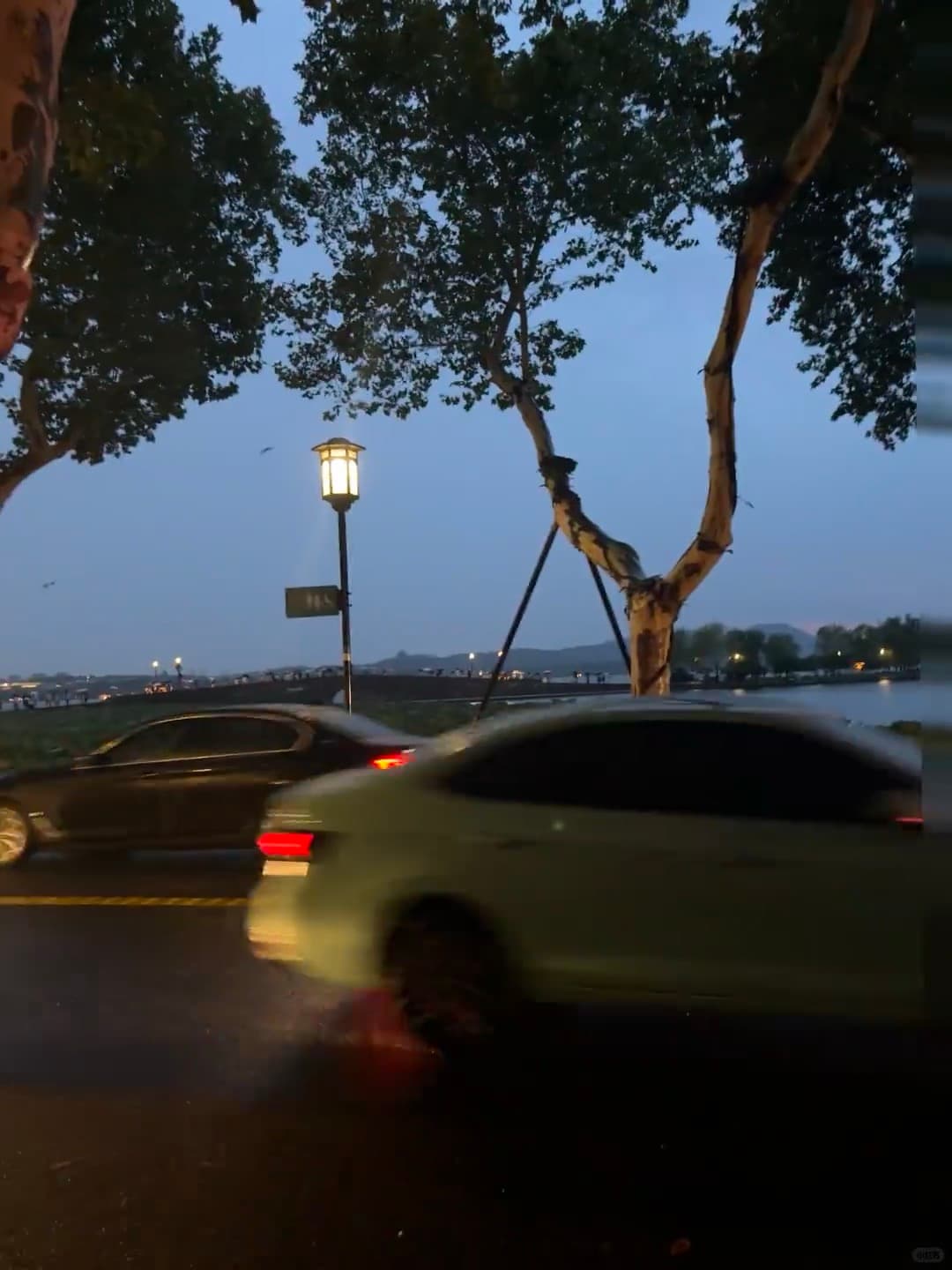 傍晚路过湖边,车速太快连路灯都拍糊了…但树影真好看封面图