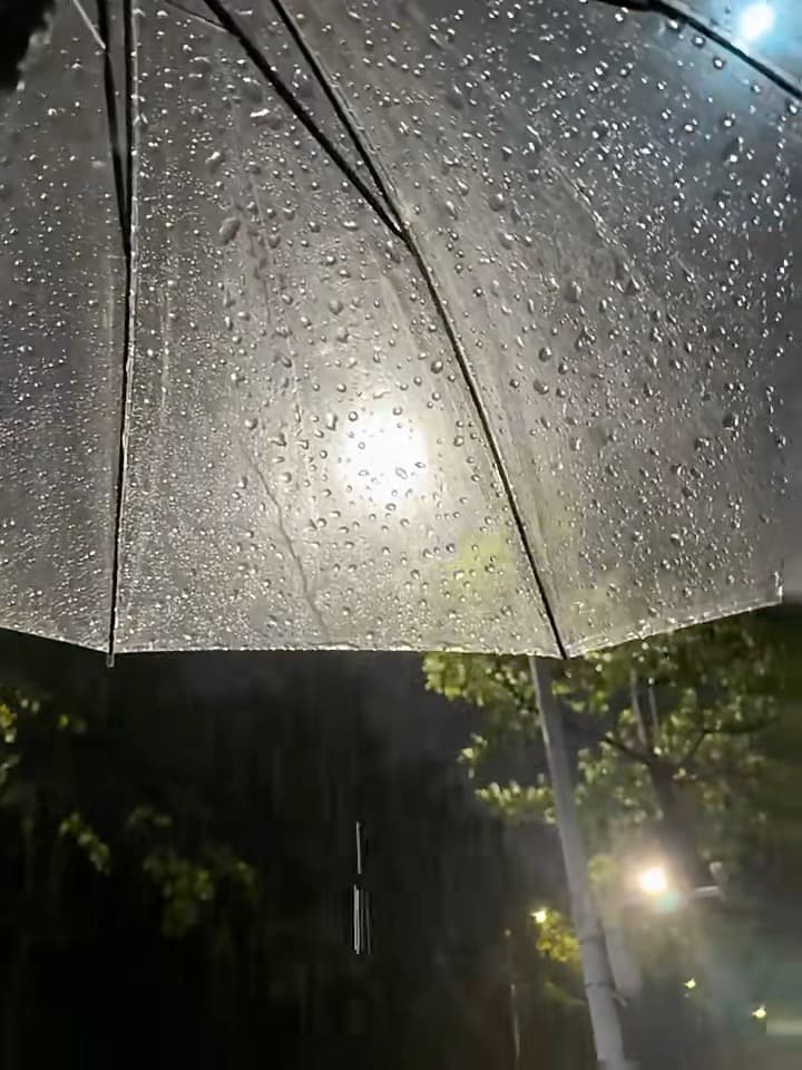 雨夜撑伞路过老城街角,路灯把水珠照成小星星✨封面图