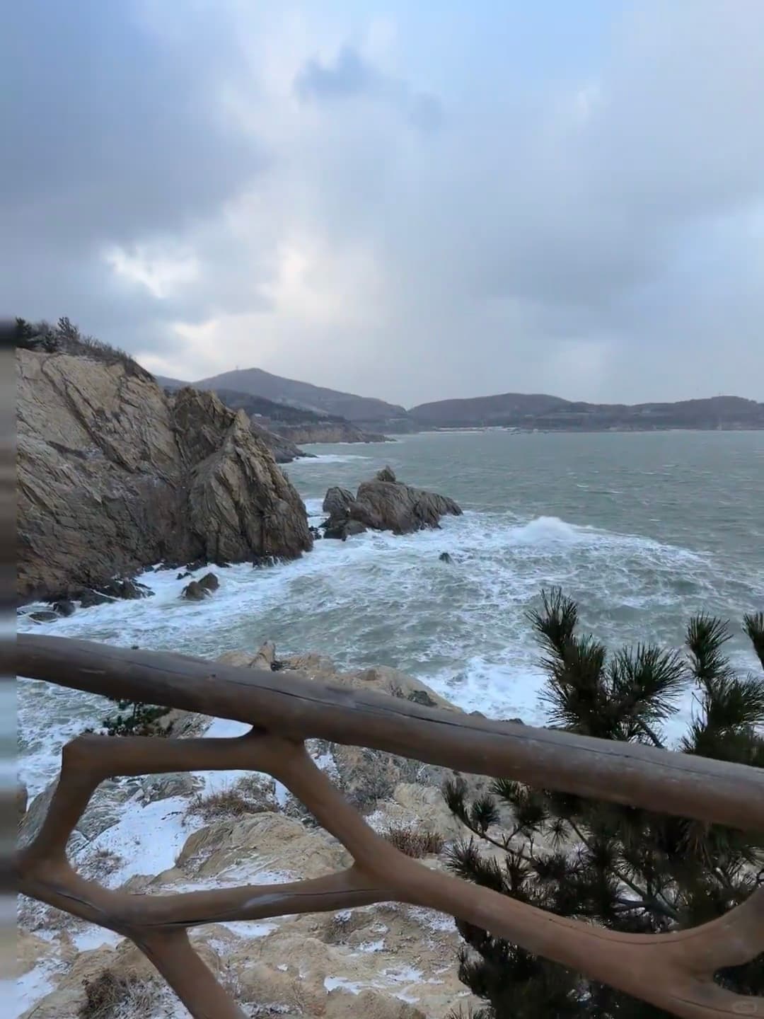 海边的风比想象中更野，木栏杆都快被吹歪了封面图