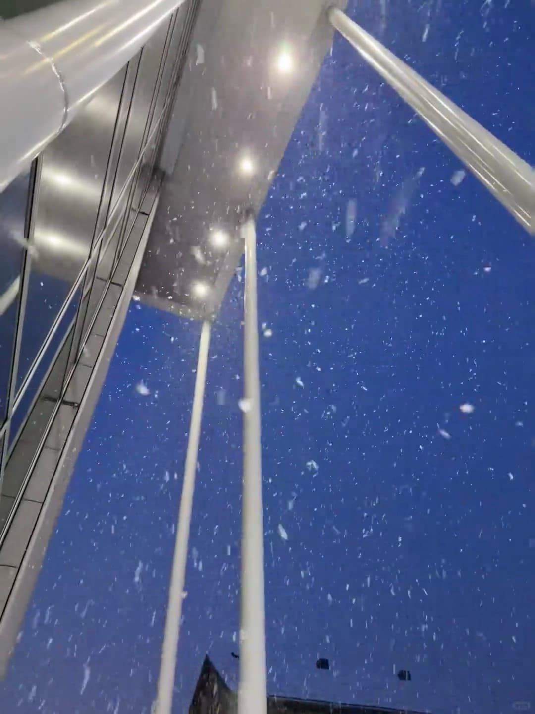 今晚在City Hall广场，雪下得像打翻的糖霜～封面图