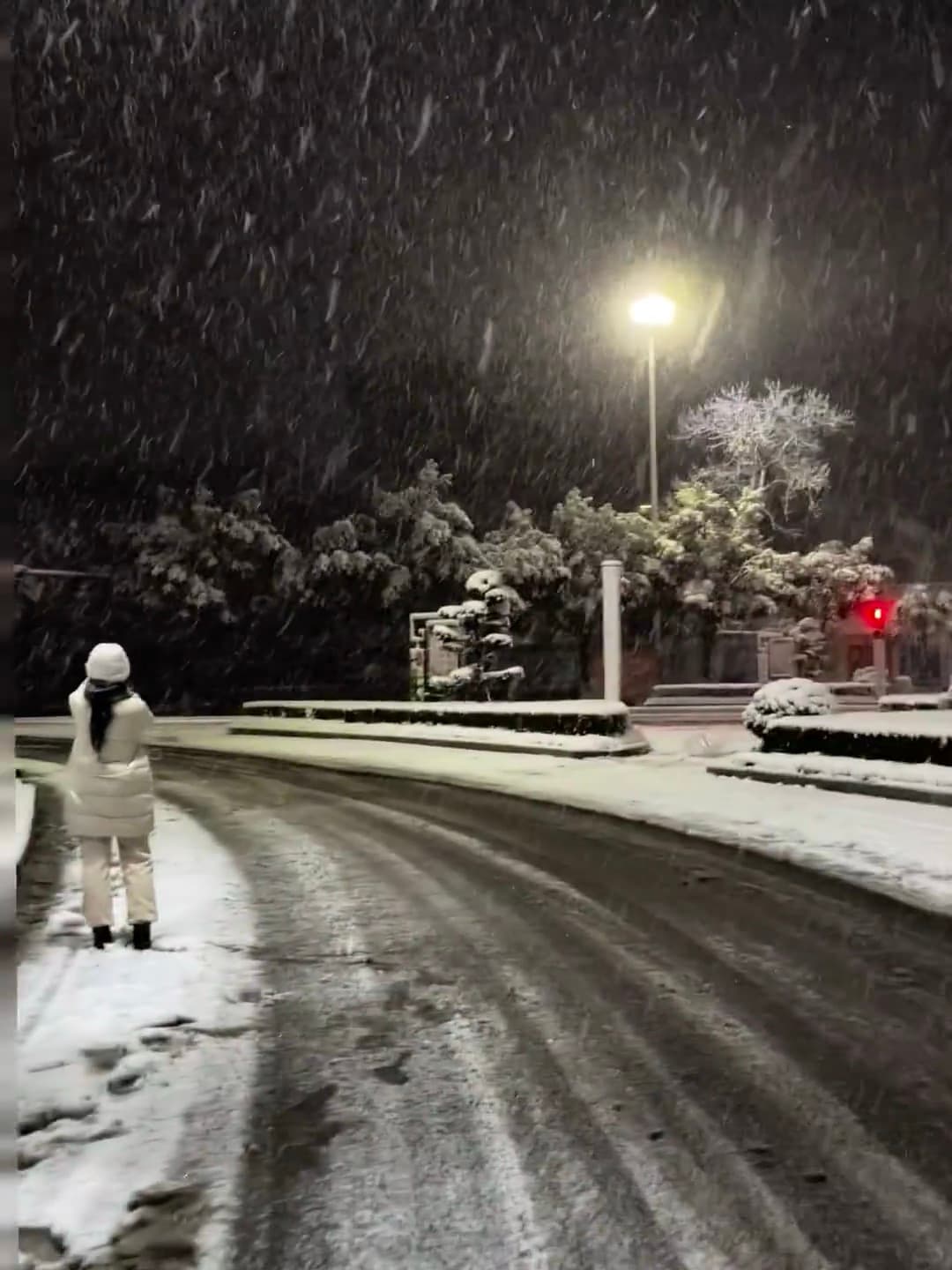 今晚的雪，像被谁偷偷撒了糖霜封面图