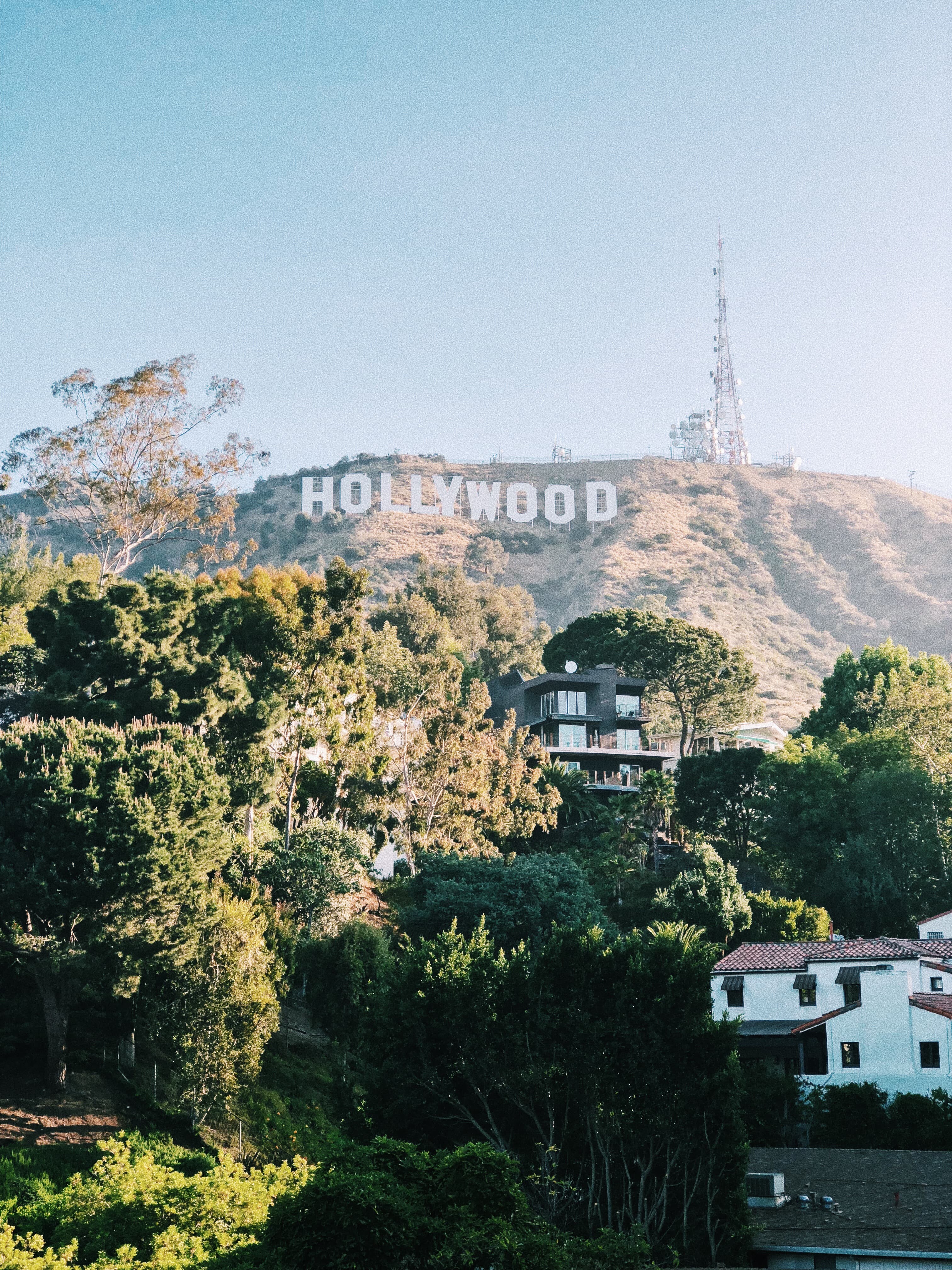 今天在Hollywood山脚晃荡，随手拍了下‘HOLLYWOOD’——阳光太好，连树影都像滤镜封面图