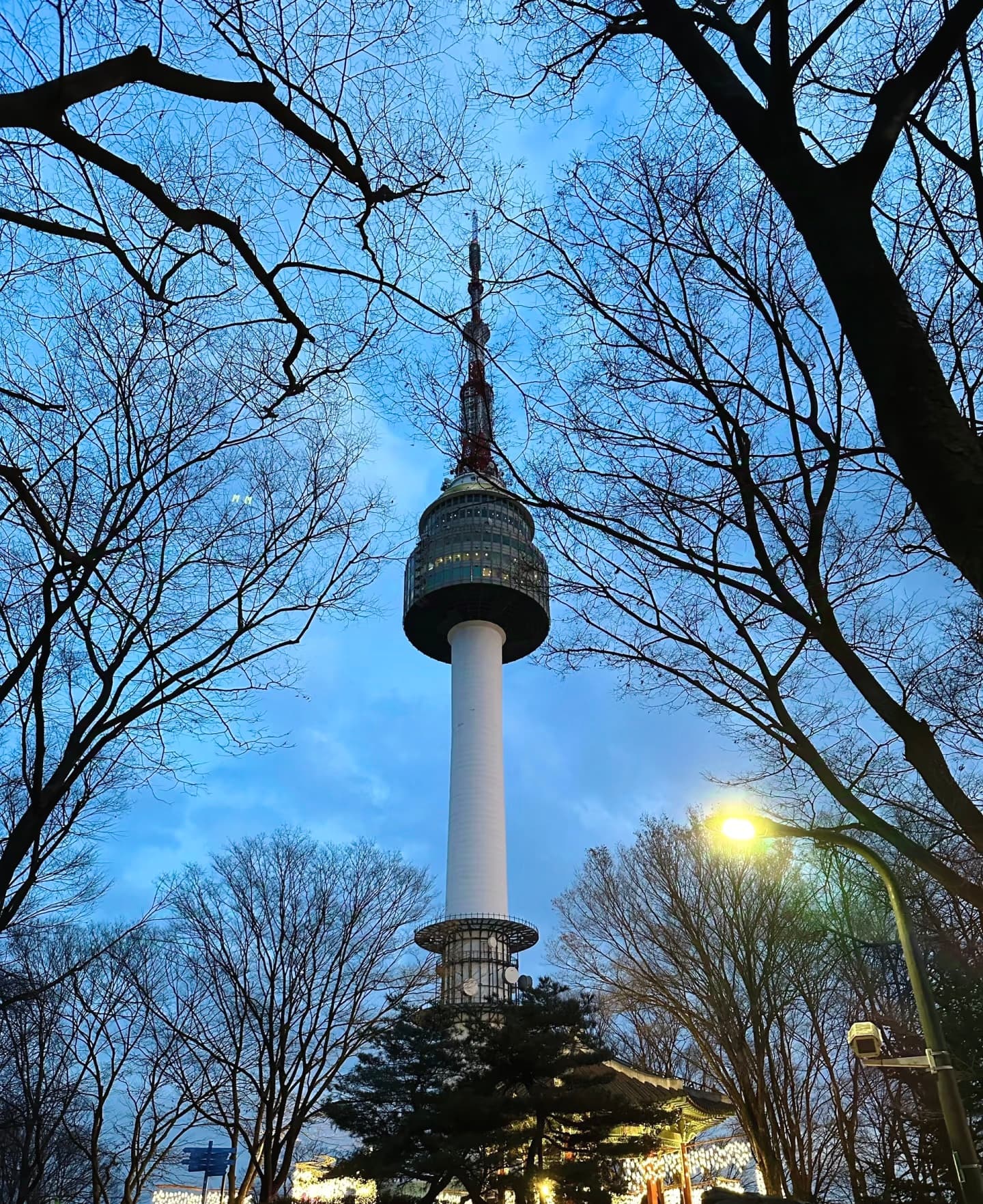 傍晚路过N Seoul Tower，树枝剪影+蓝调天空，随手一拍像电影帧封面图