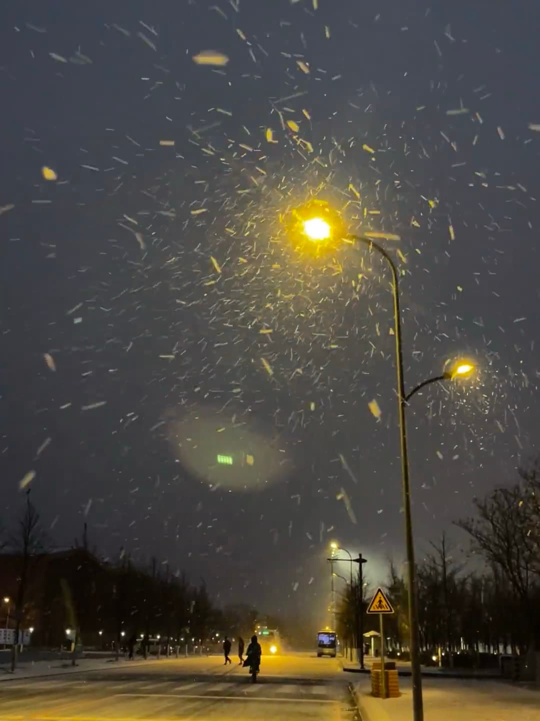 路灯下撒盐的雪，像不小心打翻了银河碎片✨封面图