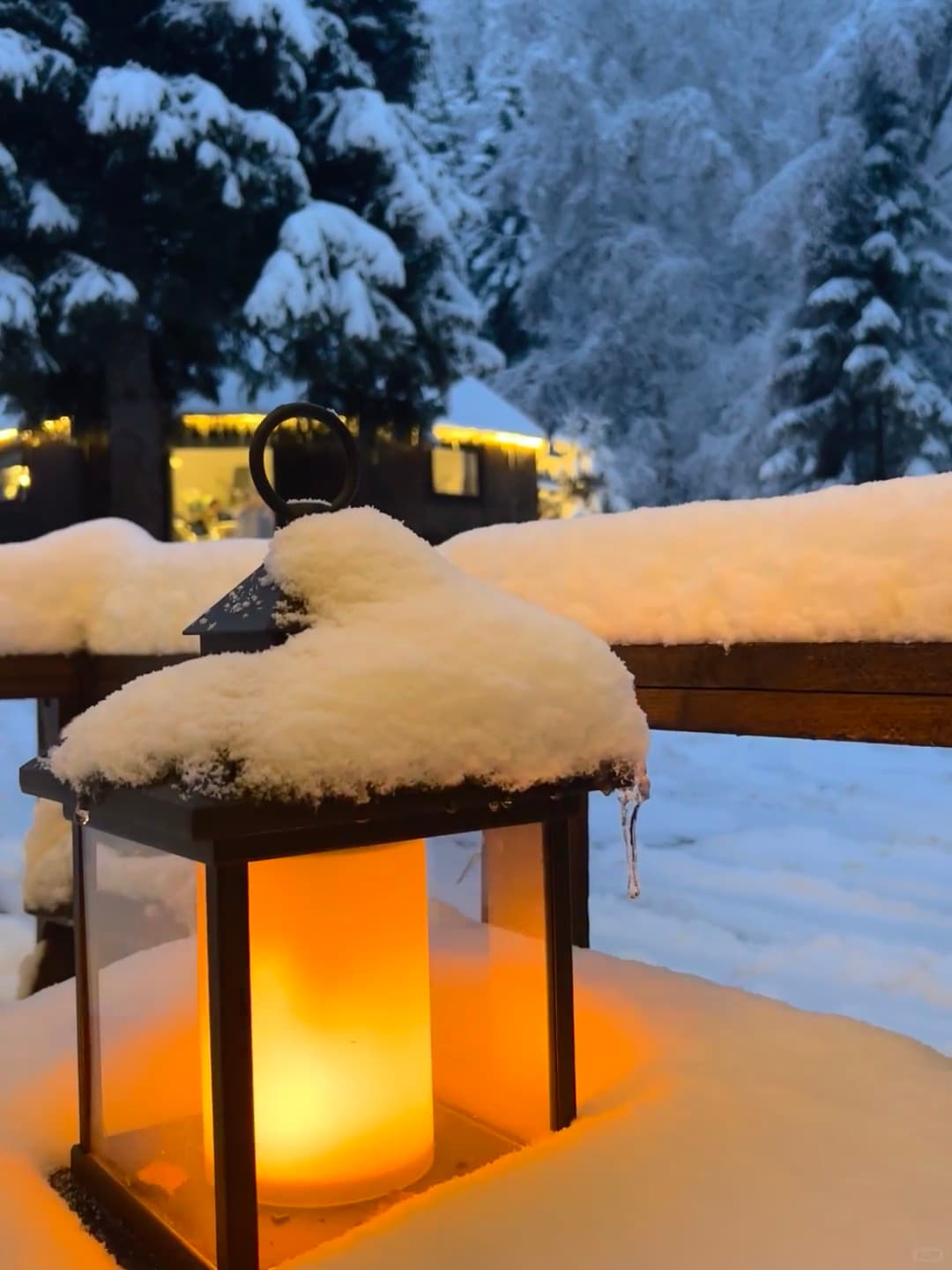 雪夜小灯，像把整个冬天的暖意都揣进怀里了封面图