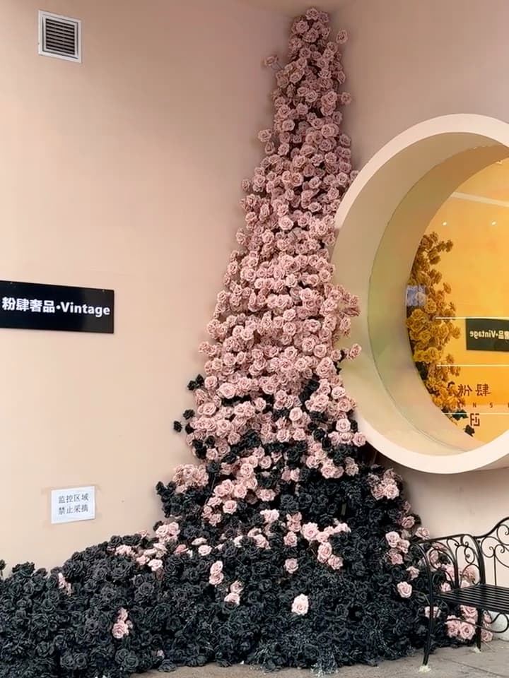 路过这家店门口，花瀑布直接砸我脸上…粉黑撞色太敢了！封面图