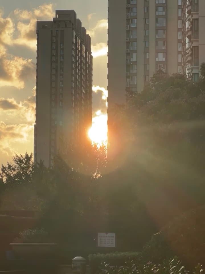 下班路上被这道光钉住了…太阳在楼缝里打了个结封面图