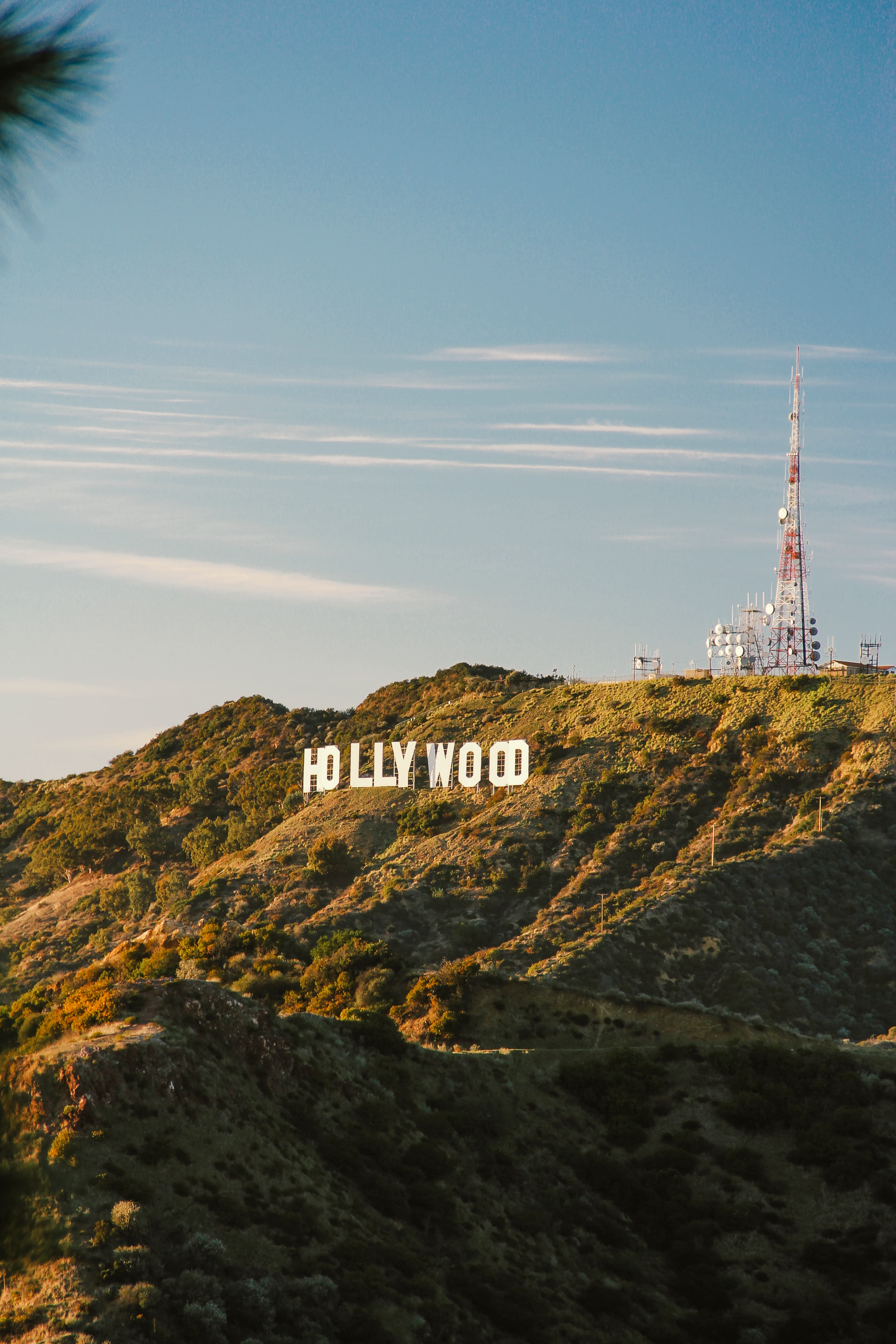 傍晚的Hollywood山丘，风里都是老电影的味道 🎬封面图
