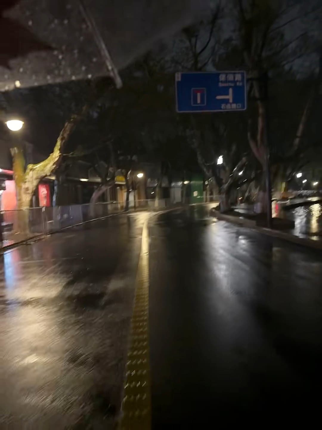 雨夜骑车路过保俶路,路灯把湿漉漉的路照得像油画封面图