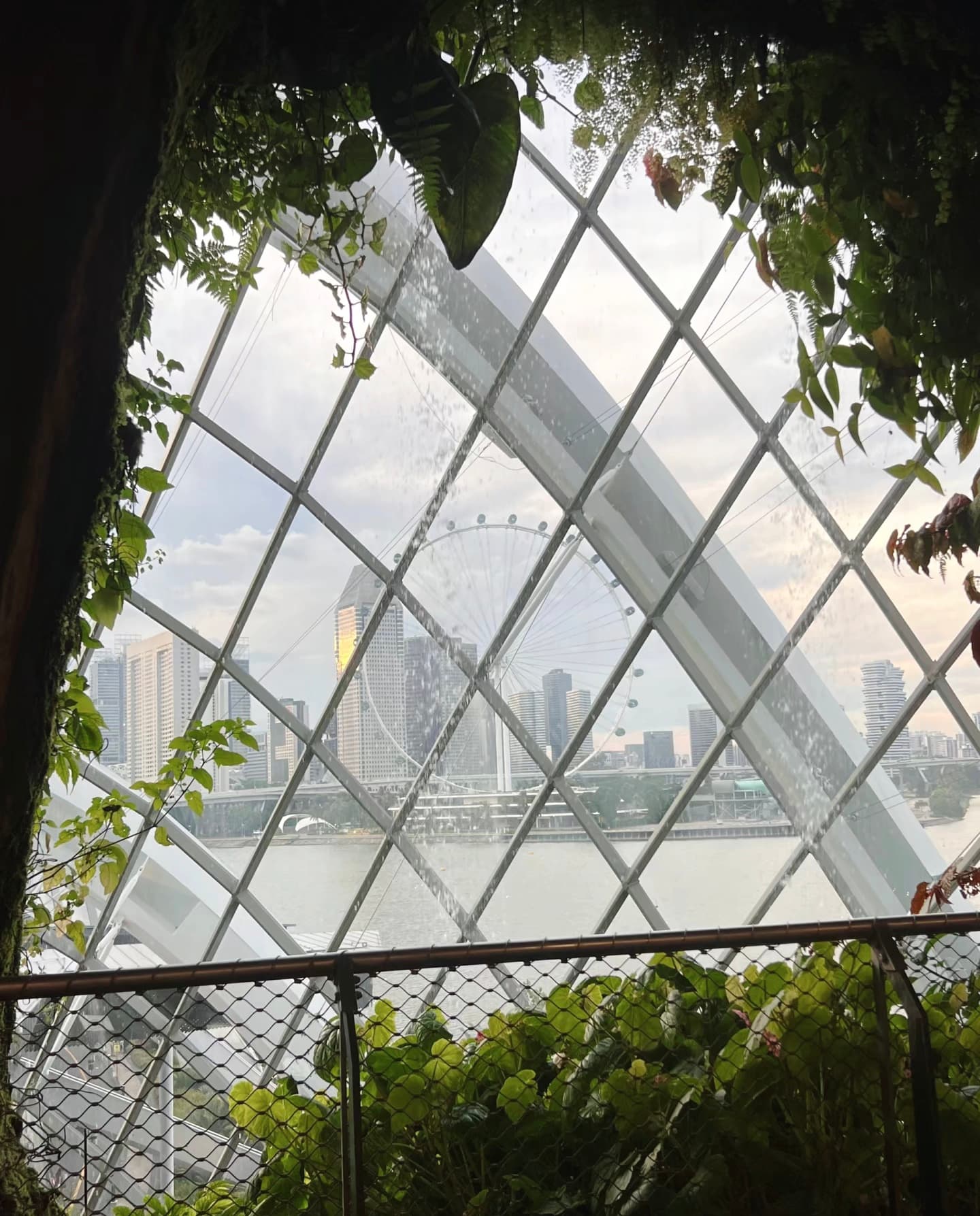 雨天在花穹里看摩天轮，水珠顺着玻璃滑下来像在写诗✨封面图
