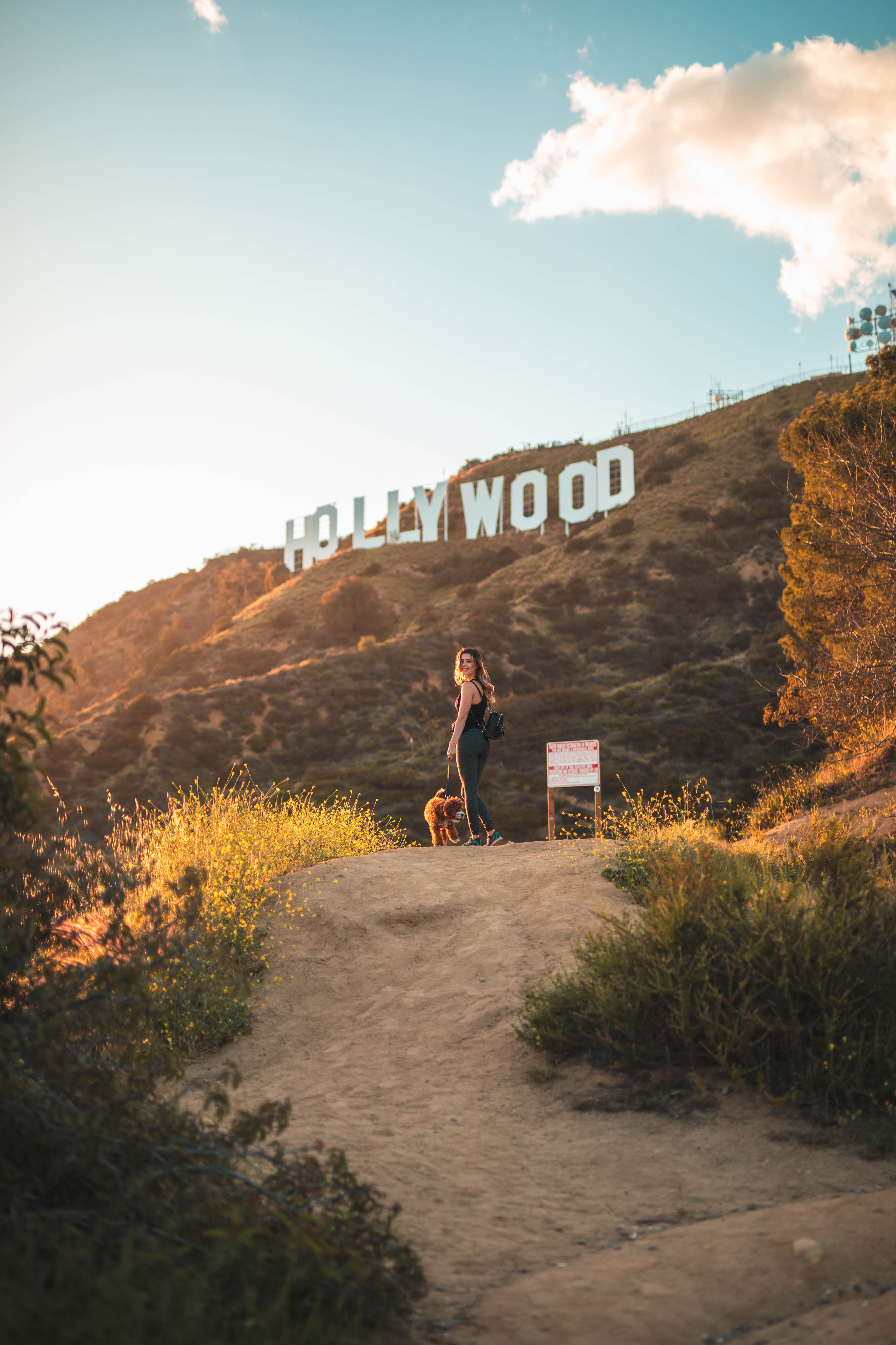 夕阳下的Hollywood山丘,遛狗+回眸=今日最佳帧封面图