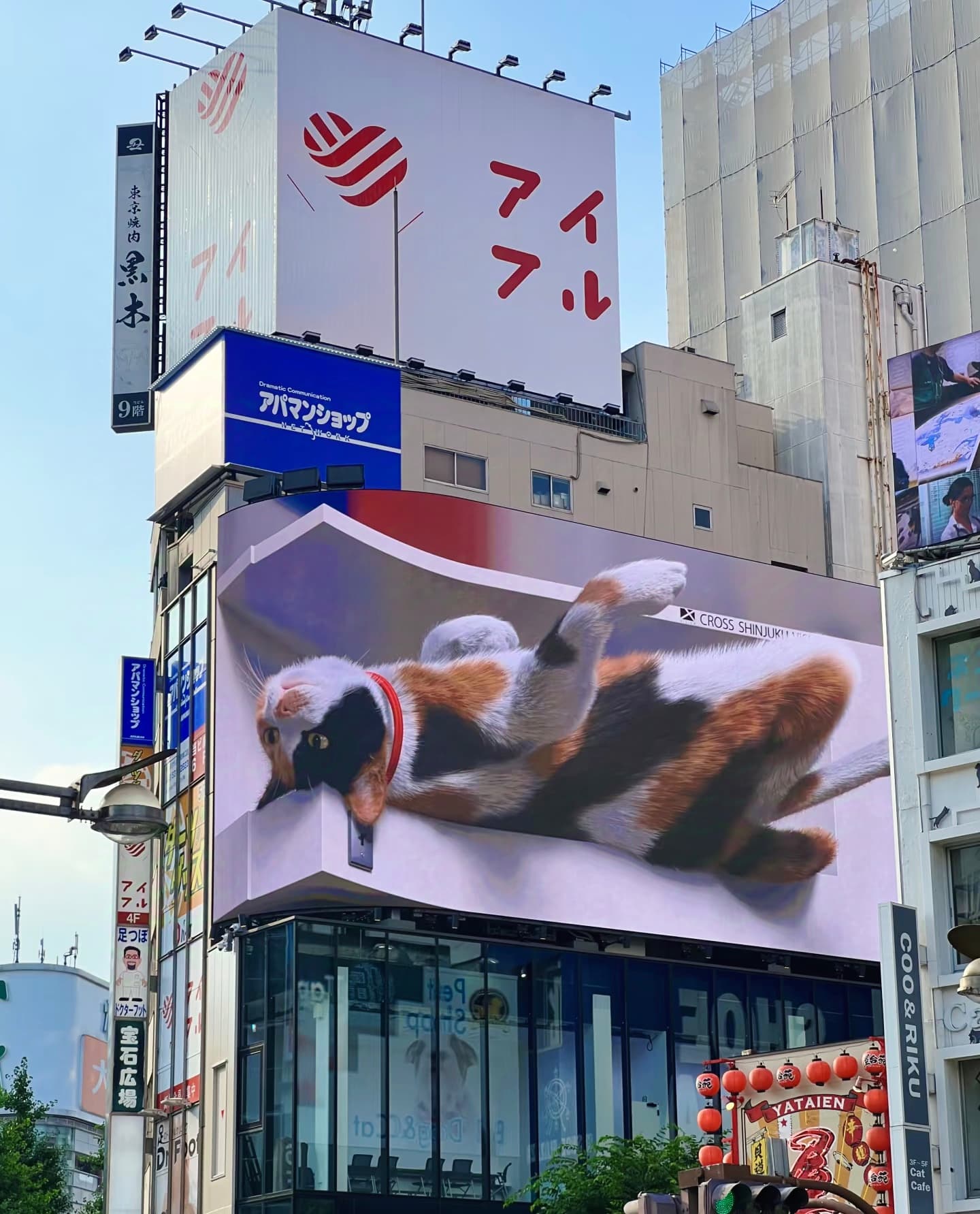 路过心尖上的猫猫广告，连路过的电车都放慢了速度封面图
