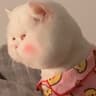 小甜甜✨的头像