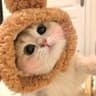 软糖猫爪的头像