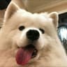 小Amelia_07的头像