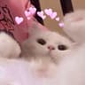 一Sky_520同学的头像