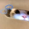 小小雨碎碎念同学的头像