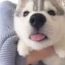 一Sora♡的头像