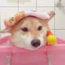 Hey今天也很开心Vibes的头像