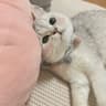 HeyMia_07随笔的头像