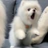 小Echo_99的头像