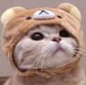ItsAmeliaDaily的头像