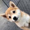 ItsCharlotteX的头像