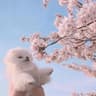 想和你看海Daily的头像