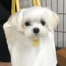 Its若宁✨的头像