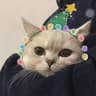 一不想洗头日记的头像