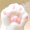 My小Mia✨的头像