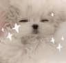 My快乐营业中♡的头像