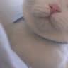 小Minho✨的头像