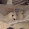 MyLuna_99呀的头像