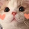 My若宁♡的头像