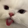 一Luna_99♡的头像